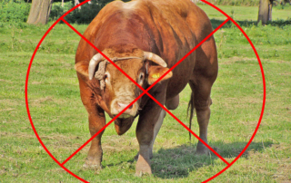 A photo of a bull with an X through it.