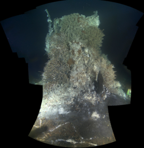 The Subsea HD Camera (CAMHD) on the Ocean Observatories Initiative (OOI) Cabled Array observes the volcanic vent Mushroom on Axial volcano 300 miles off the Oregon coast. Every three hours it produces a 12 minutes (15GB) video which is archived at Rutgers University. Cloud-based elastic storage and computation allow flexible, low-cost, high-performance processing of these large video files to produce scientific insights into the geological and biological functioning of these unique subsea ecosystems.