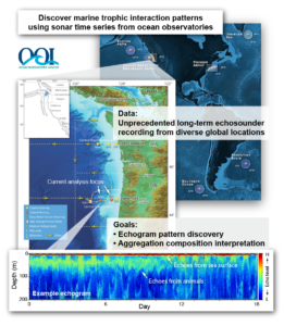 The ocean observatories initiative (OOI) has established a continuous flow of data from echosounders deployed at diverse global locations. By collecting echoes reflected from animals in the water column, these data provide an unprecedented opportunity to study long-term trophic interactions in the marine ecosystems. However, this large, complex data set presents new challenges, since the conventional echo analysis methods are non-adaptive and not effective in such scenarios with limited biological ground truth (e.g., species composition from net samples). Our goals are to construct a suite of methods for discovering temporal (e.g., daily, monthly, seasonal) patterns in the echogram and interpreting the animal composition of the segmented aggregations. The long-range goal of this project is to enable information extraction for large-scale, long-term monitoring of the marine ecosystems.