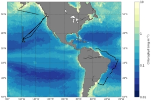 Coverage of the SeaFlow data used in the change-point analysis. Black lines denote individual research cruise tracks and the heat-map shows the estimated quantity of chlorophyll at each spatial location based on satellite data.