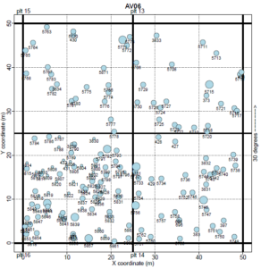 Schematic diagram of one quadrant of a forest plot. Locations and sizes of trees are indicated by the circles and their diameters respectively. This diagram shows how this dataset enables a quantitative description of each tree’s competitive neighborhood. Image credit: Janneke Hille Ris Lambers.
