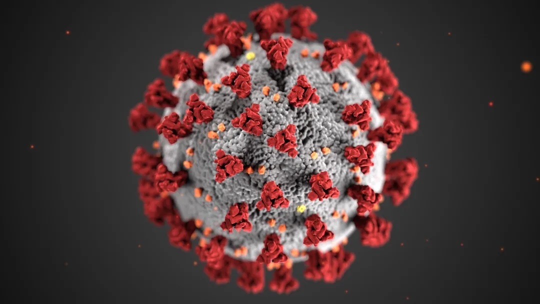 coronavirus-1