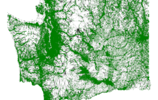 Green graph over Washington State