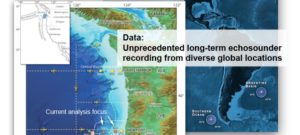 Discovering Marine Trophic Interaction Patterns