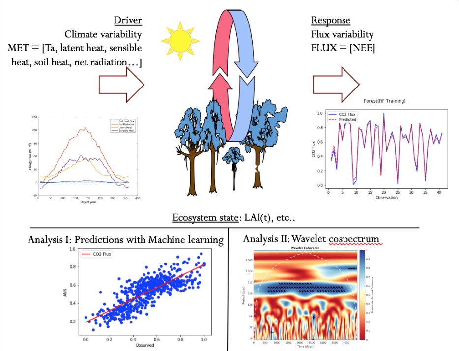 Deciphering climate clues via carbon flux simulation