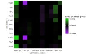 A network analysis of tree competition: Which tree species make the best neighbors?