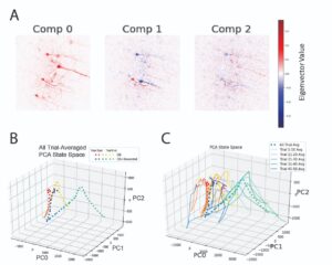 Data analytics for demixing and decoding patterns of population neural activity underlying addiction behavior