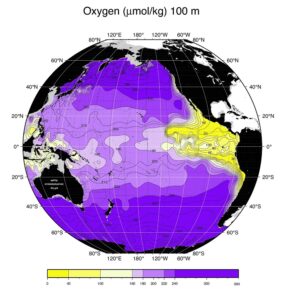 Systems level analysis of metabolic pathways across a marine oxygen deficient zone