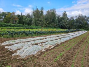 Challenges to Climate Adaptation Among Organic Farmers in the U.S.