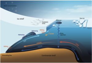 Global High-Resolution Modeling: A New Lens on the Southern Ocean