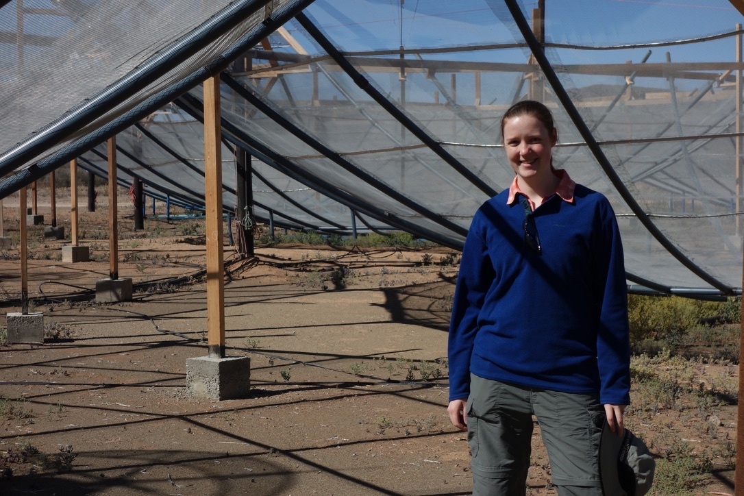 Staff Spotlight: Bryna Hazelton
