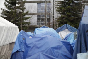 Software for Community-Driven Enumeration: Needs Assessment of People Experiencing Homelessness