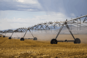 CA Biositing Tool: Leveraging High-Resolution Data