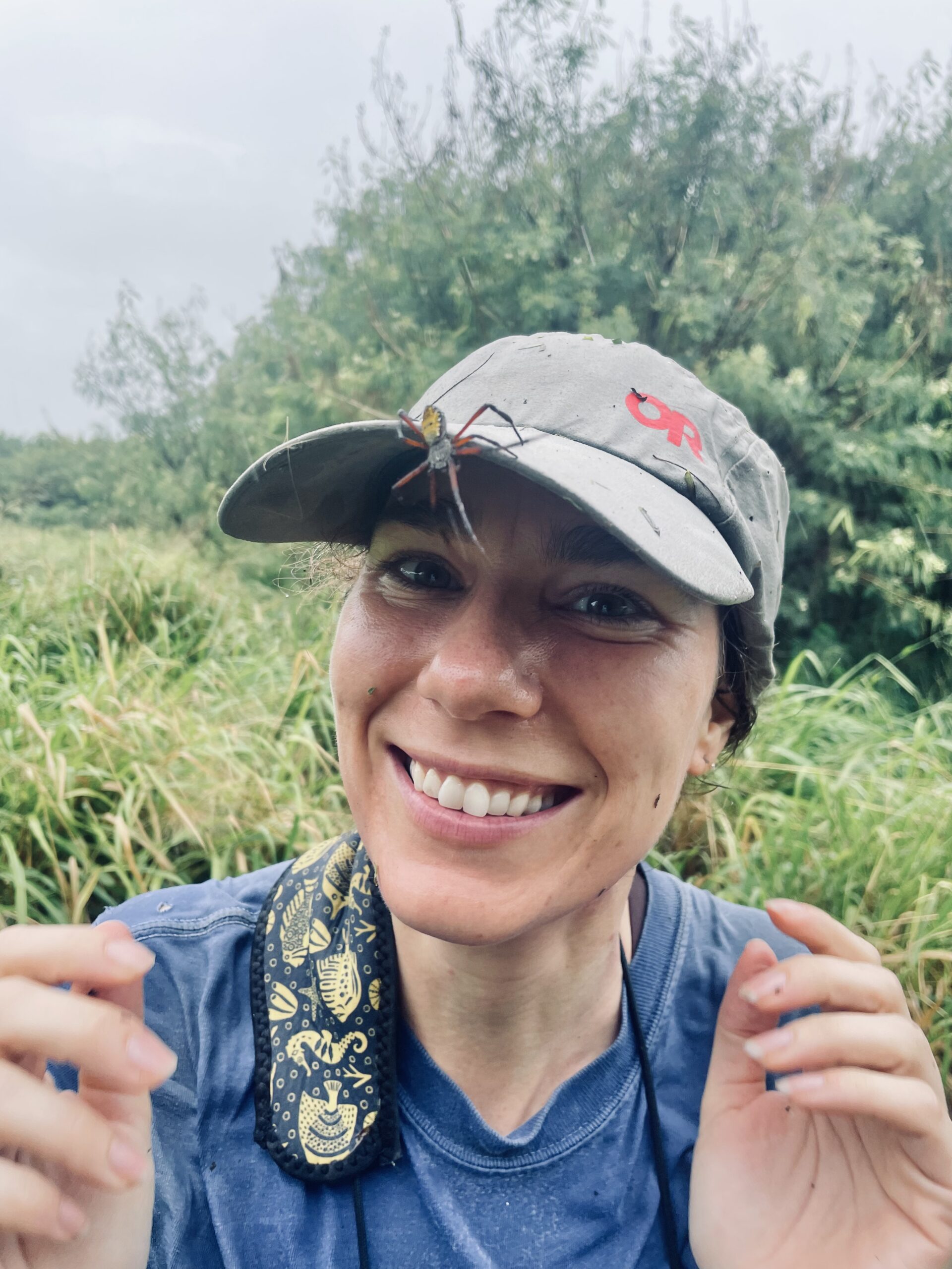 UW Data Science and AI Seminar: Kaeli Swift